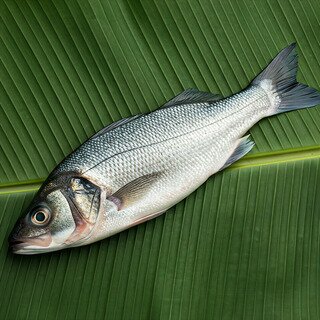 Pescado blanco de carne firme, capturado artesanalmente en las costas del sur. Perfecto al horno o al vapor.